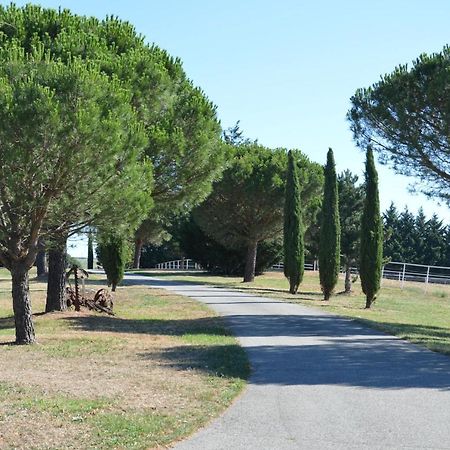 Les Moineaux Du Domaine Du Moulin Villa Etables  Exteriör bild