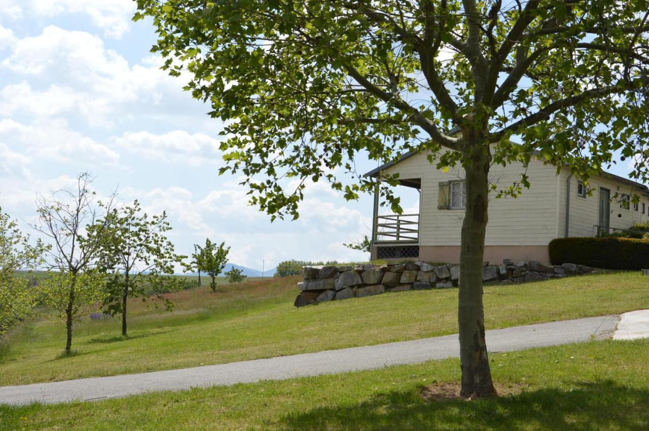 Les Moineaux Du Domaine Du Moulin Villa Etables  Exteriör bild